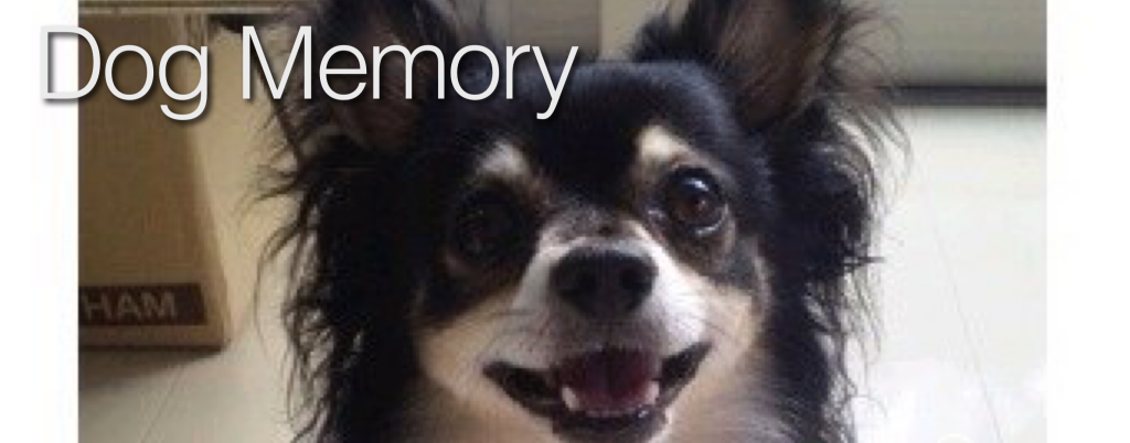dog memory